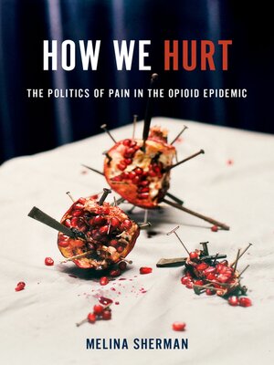 cover image of How We Hurt